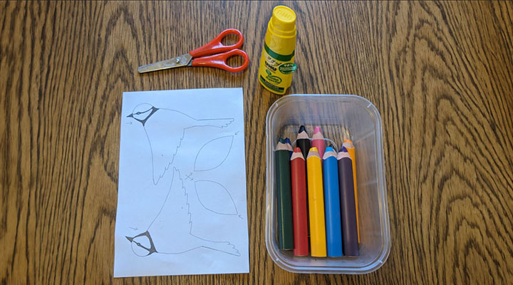 materials needed for making paper birds