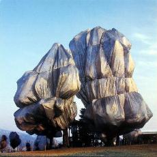 Trees wrapped by Christo