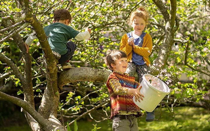 three boys in a tree one holding a bucket